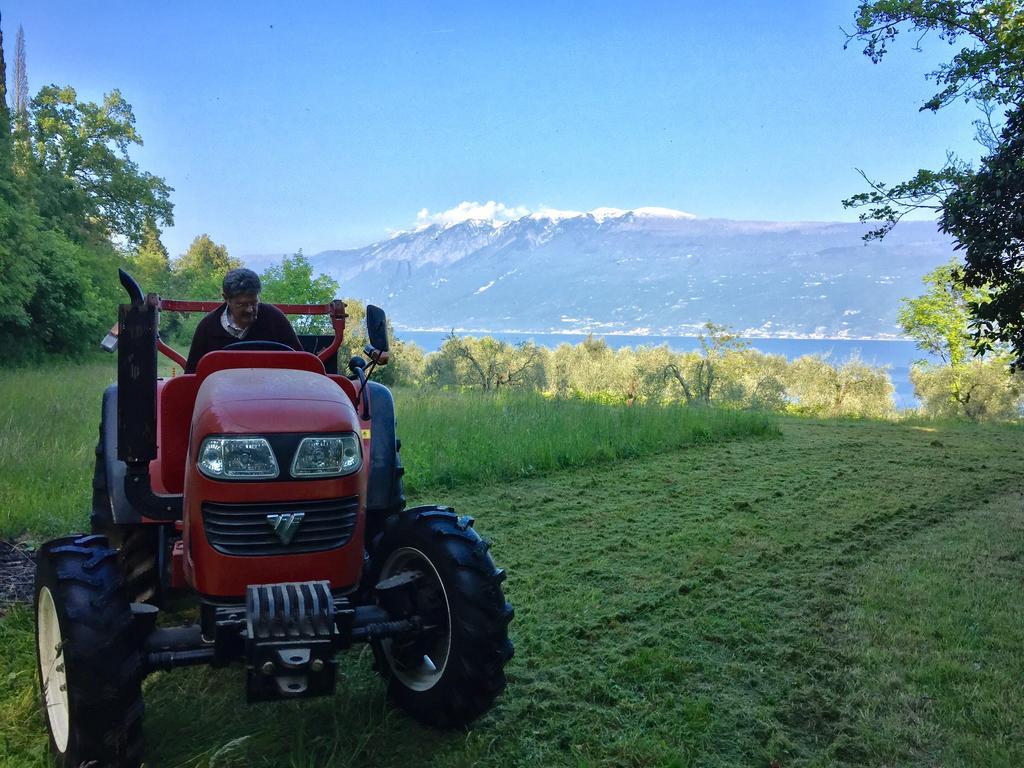 Agriturismo Cervano Toscolano-Maderno Esterno foto