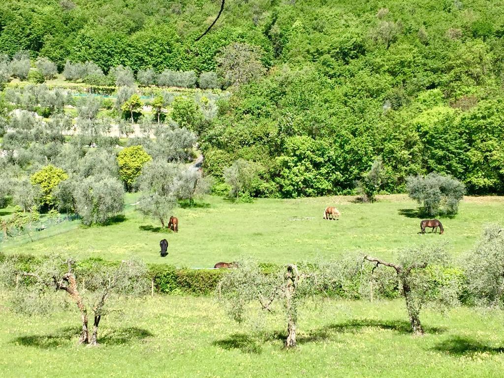 Agriturismo Cervano Toscolano-Maderno Esterno foto