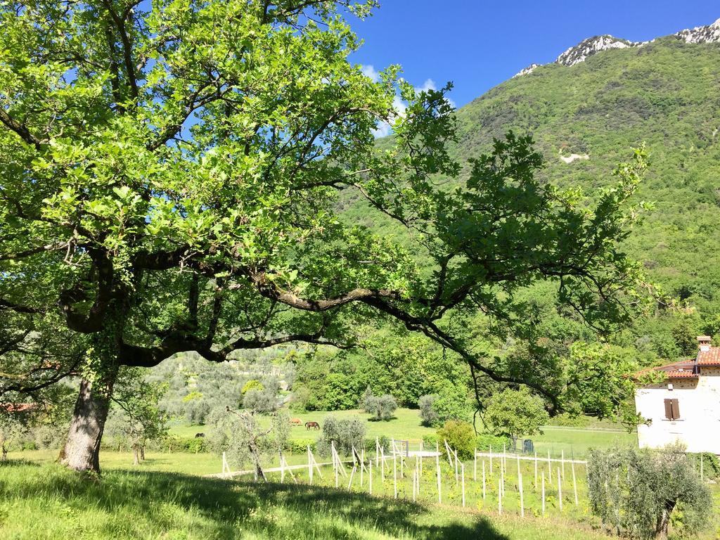 Agriturismo Cervano Toscolano-Maderno Esterno foto