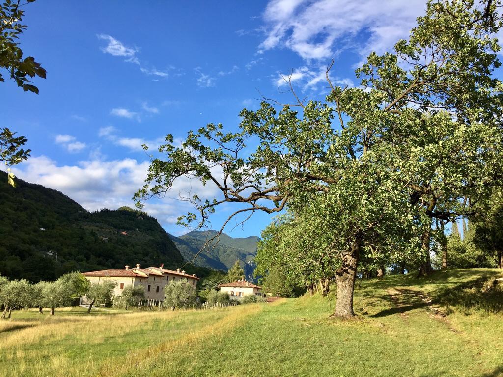 Agriturismo Cervano Toscolano-Maderno Esterno foto