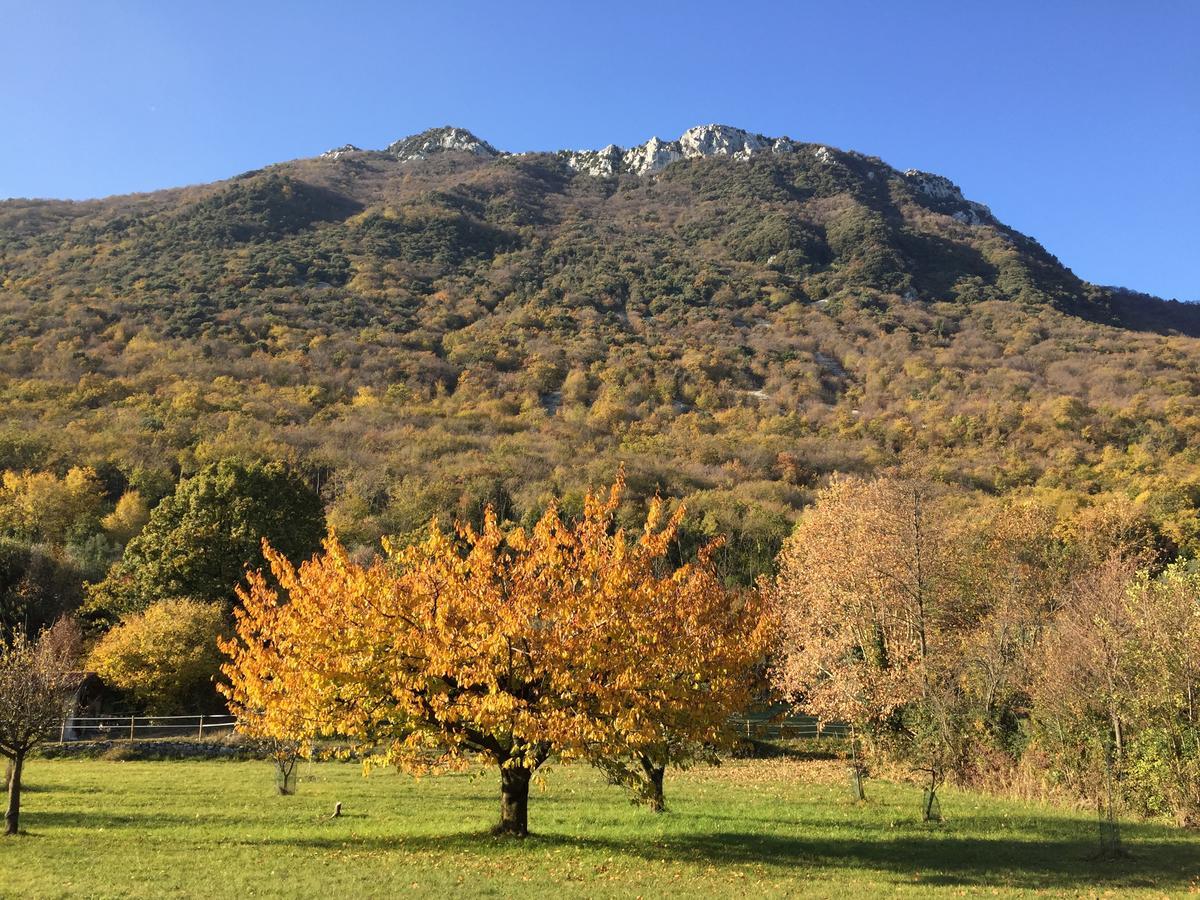 Agriturismo Cervano Toscolano-Maderno Esterno foto