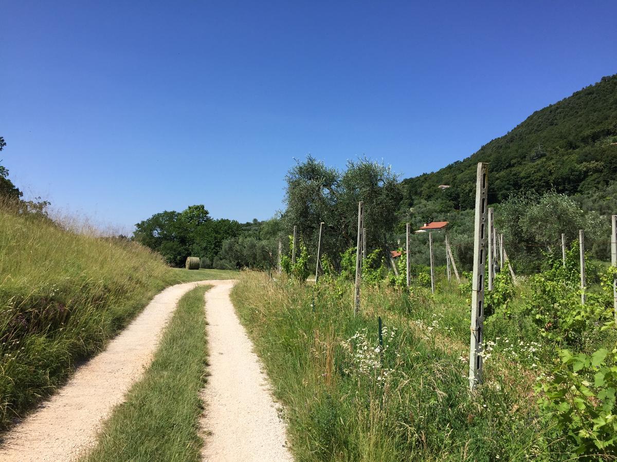 Agriturismo Cervano Toscolano-Maderno Esterno foto