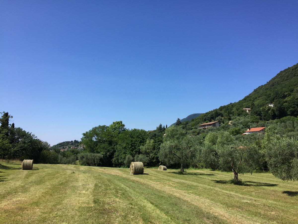 Agriturismo Cervano Toscolano-Maderno Esterno foto