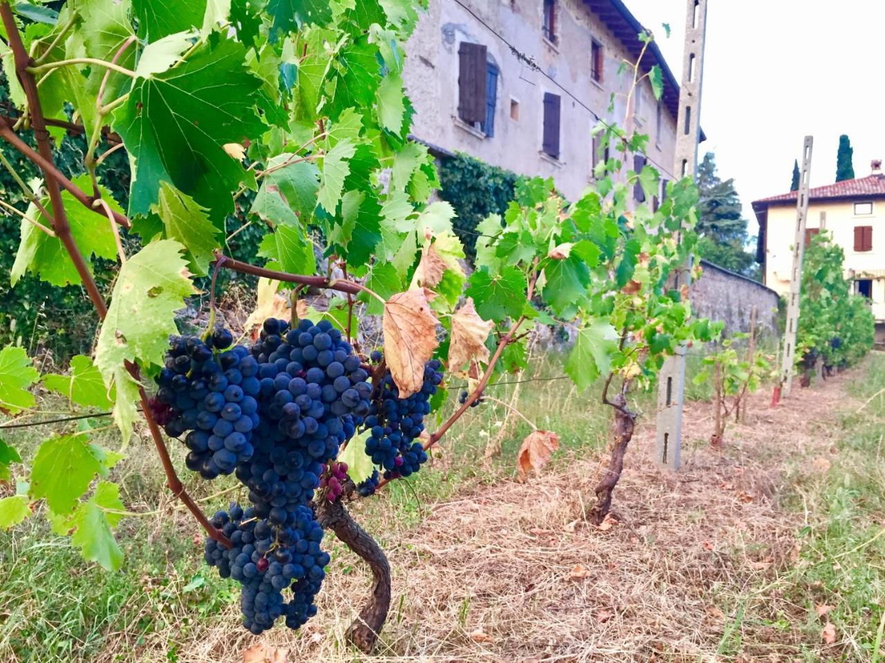 Agriturismo Cervano Toscolano-Maderno Esterno foto